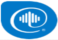 AspenTech Subsurface Science and Engineering 2023 14.2.0-闪电下载吧