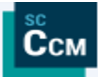 Siemens Star CCM+ 2506 R8 (20.04.007-R8)-闪电下载吧