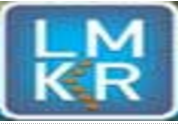 Landmark GVERSE GeoGraphix 2022.1 build 21669 x64-闪电下载吧
