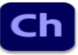 Adobe Character Animator 2025 v25.0-闪电下载吧