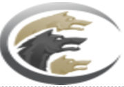 Cerberus FTP Server Enterprise 2024.2-闪电下载吧