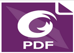 Foxit PDF Editor Pro v14.0.6_Build_33584-闪电下载吧